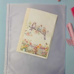 Envelope Canguru  20 x 24  Quant. 20 un.   30 un.   40 un